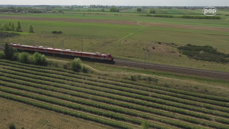  20 milionów pasażerów więcej niż w ubiegłym roku – Polacy wracają do pociągów regionalnych