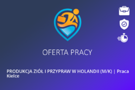 PRODUKCJA ZIÓŁ I PRZYPRAW W HOLANDII (M/K) | Praca Kielce