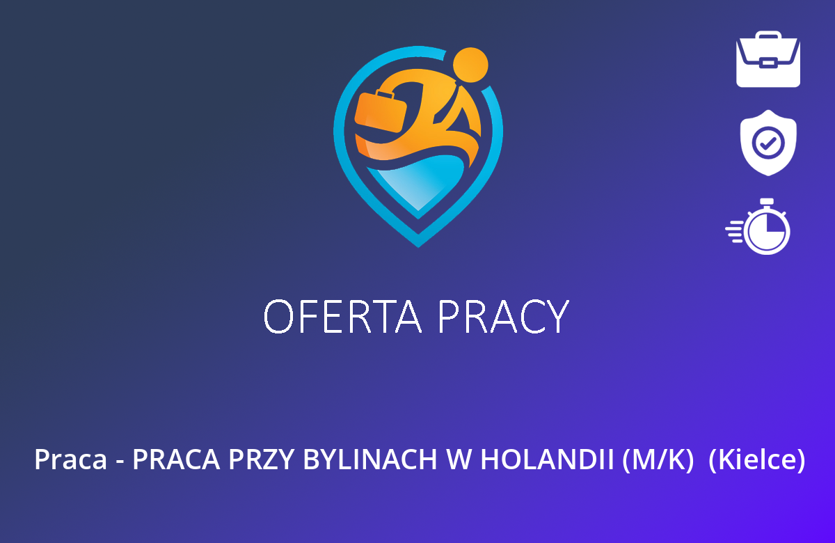 Praca – PRACA PRZY BYLINACH W HOLANDII (M/K)  (Kielce)