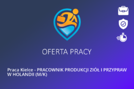 Praca Kielce – PRACOWNIK PRODUKCJI ZIÓŁ I PRZYPRAW W HOLANDII (M/K)