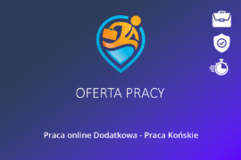 Praca online Dodatkowa – Praca Końskie