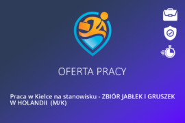 Praca w Kielce na stanowisku – ZBIÓR JABŁEK I GRUSZEK W HOLANDII  (M/K)