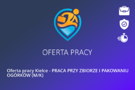 Oferta pracy Kielce – PRACA PRZY ZBIORZE I PAKOWANIU OGÓRKÓW (M/K)