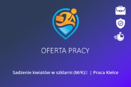 Sadzenie kwiatów w szklarni (M/K)   | Praca Kielce