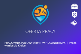 PRACOWNIK POLOWY z kat.T W HOLANDII (M/K) | Praca w mieście Kielce